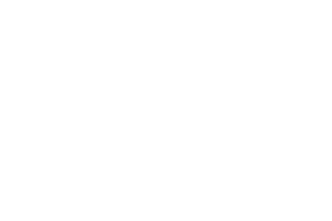 Logo1