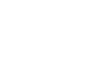 Logo2