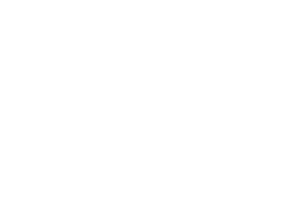 Logo3