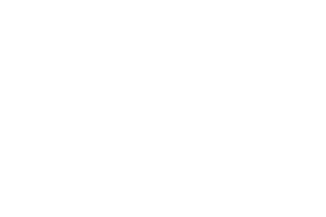 Logo2