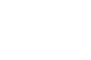 Logo2