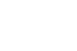 Logo2