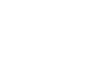 Logo2