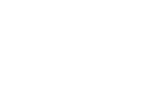 Logo2