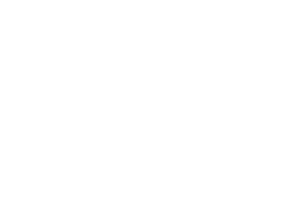 Logo2