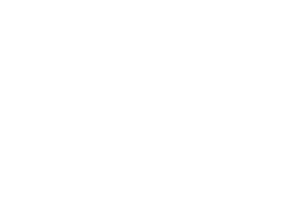 Logo2