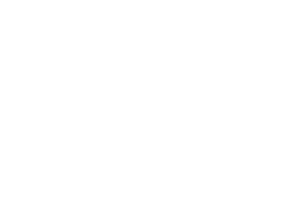 Logo2