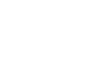 Logo2